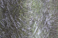 Basford fibreglass roof work